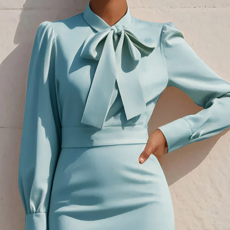 Stand Collar Bow Detail Dress
