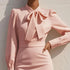 Stand Collar Bow Detail Dress